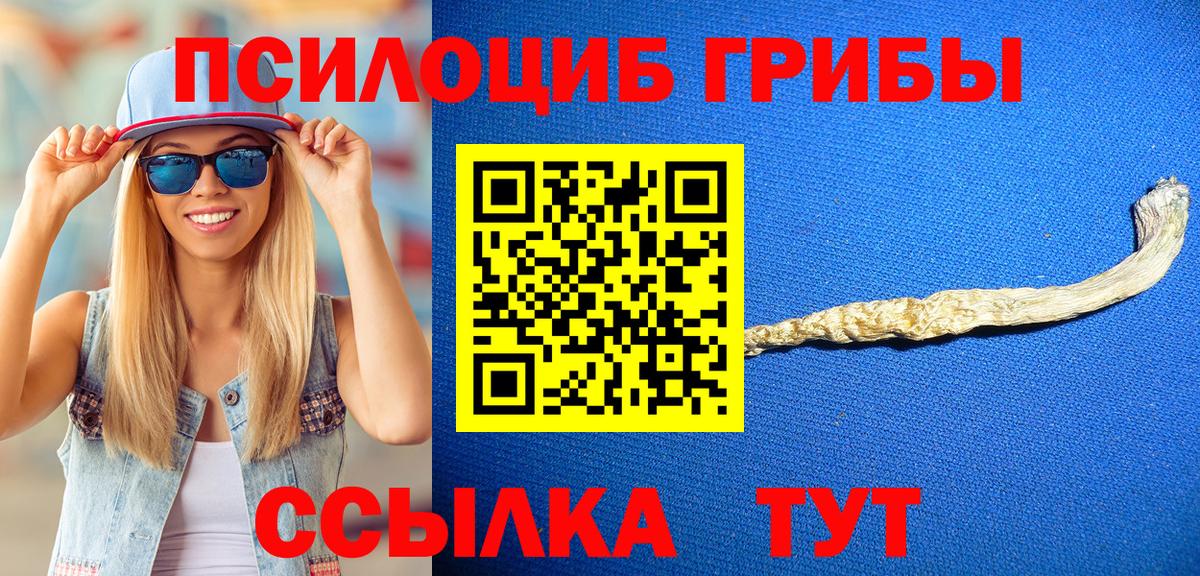 Псилоцибиновые грибы мицелий Ипатово