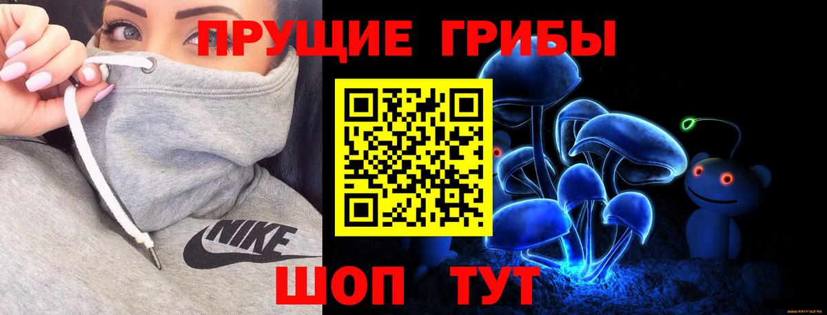 Ипатово  Псилоцибиновые грибы Psilocybine cubensis  Вход с VPN 